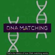 How Does DNA Matching Work