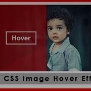 PURE CSS IMAGE HOVER EFFECTS In Html And CSS Webdesign Tutorial Coding Tricks