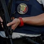 Бельгия нападение на Институт криминологии связывают с оргпреступностью