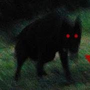 Top 10 Mythical Creatures Cryptids 2019