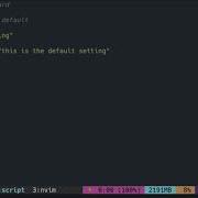 Lua Tutorial With Neovim Lua Idiom Assign If Not Initialized