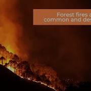 Wildfire Simulation Heats Up