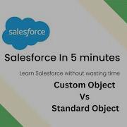 Standard And Custom Object In Salesforce Learn Salesforce Quickly Salesforce Beginner Trainings