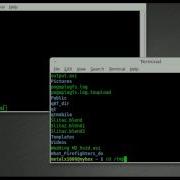 Watch What Other Are Doing With Screen BASH Linux