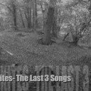 Black Kites The Last 3 Songs