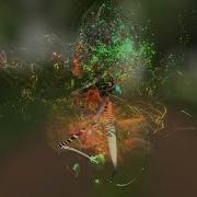 Nightingale Canary Full HD Version Bird Sounds Visualized By Andy Thomas