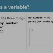 Intro Python Variables