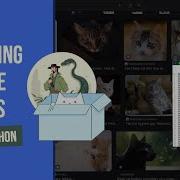 Web Scraping Google Images With Python And Simple API Export To CSV