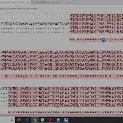 Multiple Sequence Alignment Using Clustal Omega T Coffee Tool Unit 14 3