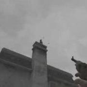 CoD 2 Funny Video