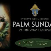 Sunday Mass April 13 2025