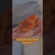 Раки работают инженерами а мы доделываем новый выпуск