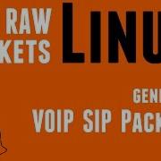 Linux RAW Sockets Generate VoIP SIP Packets