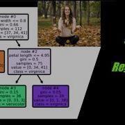Decision Tree Regression Machine Learning In Python And Sklearn