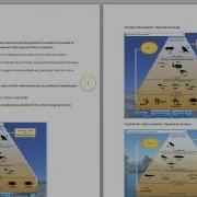 Student Examples Of Reports Following Virtual Labs