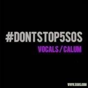 5 Seconds Of Summer Don T Stop Vocal Previews