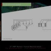 De Vries Saskia Functional Physiology Of The Mouse Virtual Cortex