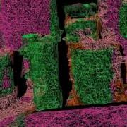Surface Triangulation And Point Cloud Classification