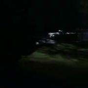 Michael Jackson Thriller Werewolf