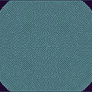 Reaction Diffusion Simulation K0 061 F0 0454