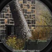 Cod4 Cc Megui Test