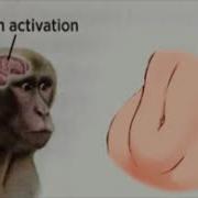 Neuron Activated 2 Electric Boogaloo