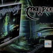 Crow Black Sky Dissention HQ