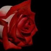 Bitlisli Arsizyurek ßy DamarCı