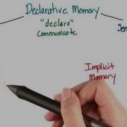 Explicit Or Declarative Memory Intro To Psychology