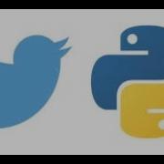 Creating A Twitter Bot Using Python Within 10 Minutes Twitter API Tweepy