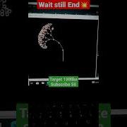 Python Animation Coding Tree Design Using Python Pythonturtle Shorts In Viral