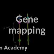 Gene Mapping Biomolecules MCAT Khan Academy