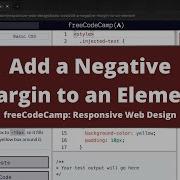 Add A Negative Margin To An Element Basic CSS FreeCodeCamp Tutorial