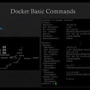 Docker Tutorial Docker Basic Commands