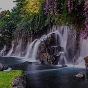 лечебная музыка для сердца и сосудов Нежная музыка успокаивает нервную систему и радует