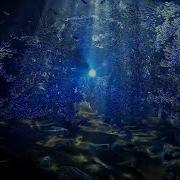 Flocking Simulation Interactive Art Aquarium