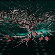 L Spline Abstrakt By Lucid