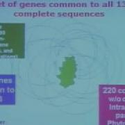 From Reading To Writing The Genetic Code