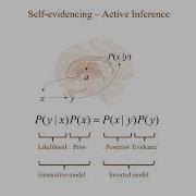 Thomas Parr The Neurobiology Of Active Inference