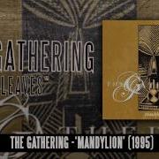 THE GATHERING Leaves Album Track