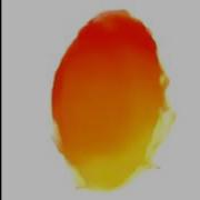 DANCING COCKROACH MEME EAR RAPE