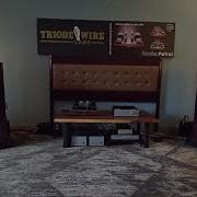 Border Patrol Living Voice And Triode Wire Labs At Florida International Audio Expo 2026