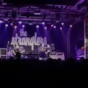 The Stranglers Hanging Around