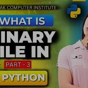 What Is A Binary File In Python How To Read Write Binary Files In Python For Beginners