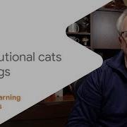 Machine Learning Foundations Ep 6 Convolutional Cats And Dogs