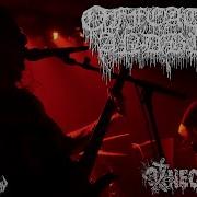 OF FEATHER AND BONE Live At Necrofest June 3rd 2023 FULL SET