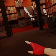 Mirror S Edge Glitchless World Record Speedrun 39 46 58