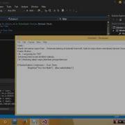 Visual Basic 2015 5 How To Use Radiobutton