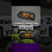 Новый Flipper Zero выйдет уже скоро