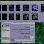 CellProfiler Getting Started